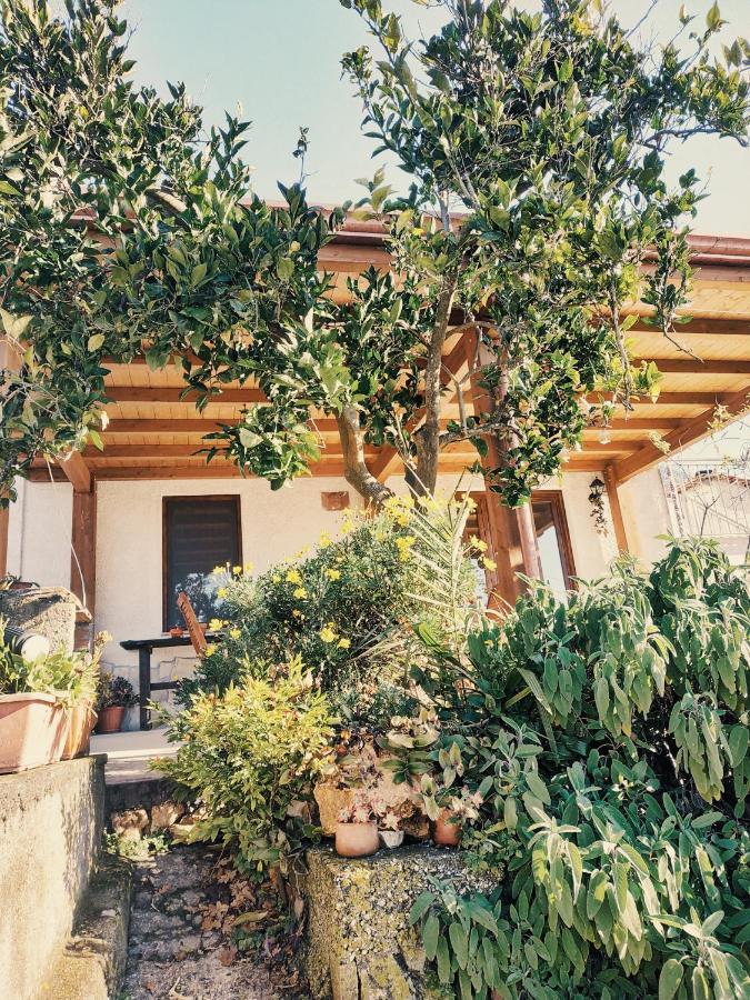 B&B Sud E Magia San Pietro Infine Exterior foto